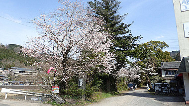 p3300170_thumb.jpg
