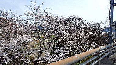 p3300181_thumb.jpg