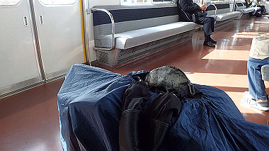 p3300209_thumb.jpg