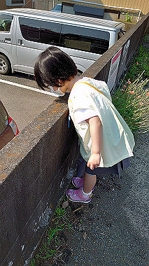 2022-05-19_08-09-27_000_thumb.jpg