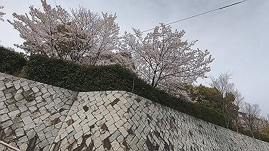 gx015969.mp4_snapshot_00.41_thumb.jpg