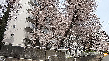 gx015969.mp4_snapshot_01.15_thumb.jpg