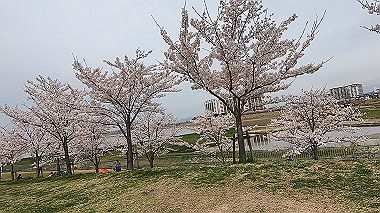 gx015970.mp4_snapshot_00.24_thumb.jpg
