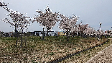 gx015970.mp4_snapshot_00.58_thumb.jpg