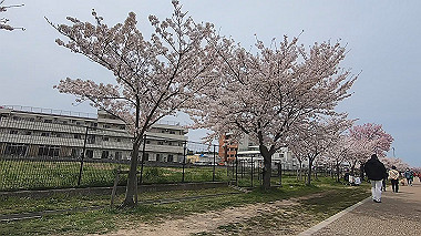 gx015970.mp4_snapshot_01.59_thumb.jpg