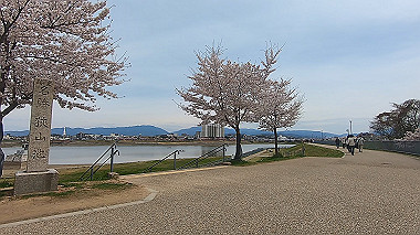 gx015971.mp4_snapshot_01.25_thumb.jpg