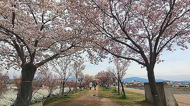 gx015971.mp4_snapshot_04.48_thumb.jpg