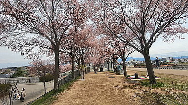 gx015971.mp4_snapshot_05.17_thumb.jpg