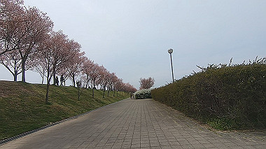 gx015971.mp4_snapshot_07.18_thumb.jpg