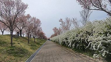 gx015971.mp4_snapshot_07.49_thumb.jpg