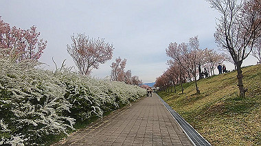 gx015971.mp4_snapshot_07.57_thumb.jpg