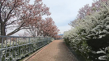 gx015971.mp4_snapshot_08.21_thumb.jpg