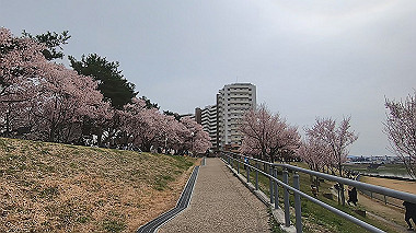 gx015972.mp4_snapshot_01.10_thumb.jpg