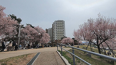 gx015972.mp4_snapshot_01.17_thumb.jpg