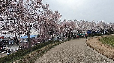 gx015973.mp4_snapshot_02.24_thumb.jpg