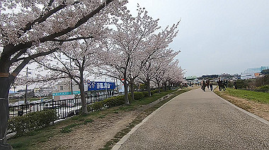 gx015973.mp4_snapshot_02.32_thumb.jpg