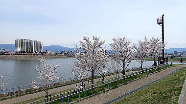 p4020228_thumb.jpg