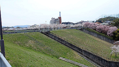 p4020230_thumb.jpg