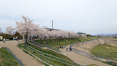 p4020233_thumb.jpg