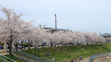 p4020234_thumb.jpg