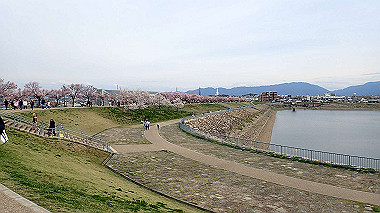 p4020243_thumb.jpg