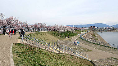 p4020244_thumb.jpg