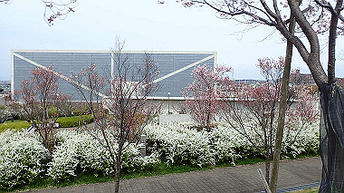 p4020252_thumb.jpg