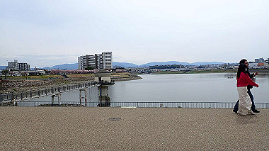 p4020256_thumb.jpg