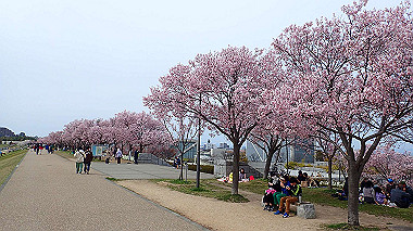 p4020258_thumb.jpg