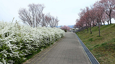 p4020267_thumb.jpg