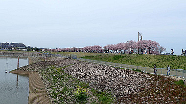 p4020273_thumb.jpg