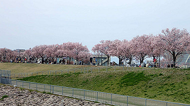 p4020274_thumb.jpg
