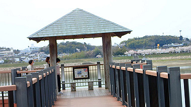 p4020275_thumb.jpg