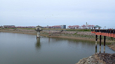 p4020277_thumb.jpg