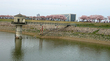 p4020278_thumb.jpg