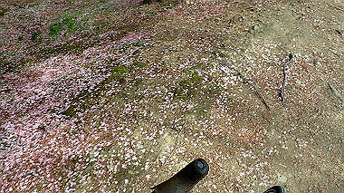 p4020283_thumb.jpg