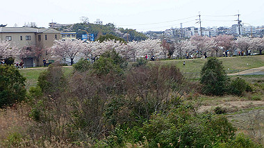 p4020299_thumb.jpg