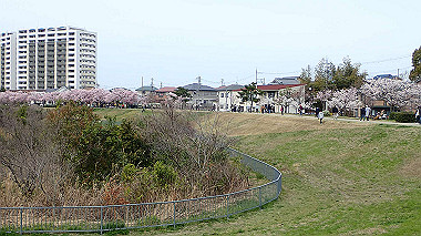 p4020302_thumb.jpg
