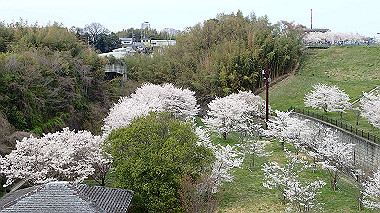 p4020315_thumb.jpg
