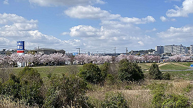 2022-04-04_10-33-08_918_thumb.jpg