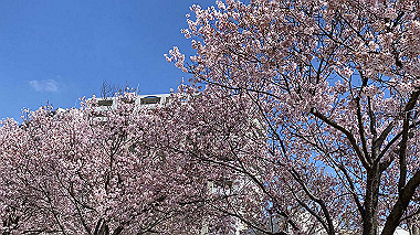 2022-04-04_10-37-13_763_thumb.jpg