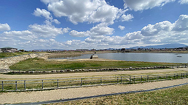 2022-04-04_11-06-47_209_thumb.jpg