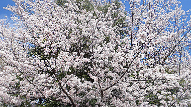 p4040232_thumb.jpg