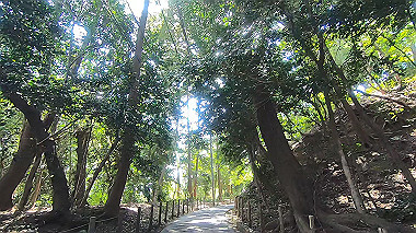 gx015978.mp4_snapshot_00.22_thumb.jpg