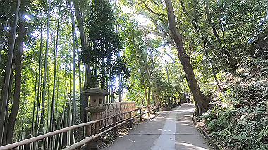 gx015979.mp4_snapshot_00.06_thumb.jpg