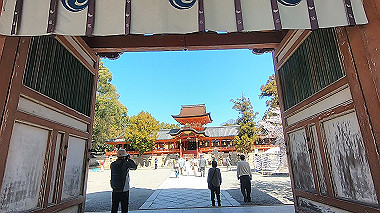 gx015980.mp4_snapshot_00.47_thumb.jpg