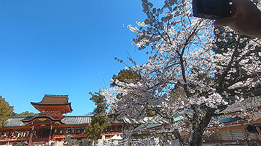 gx015980.mp4_snapshot_01.00_thumb.jpg