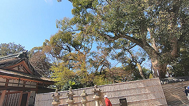 gx015980.mp4_snapshot_02.57_thumb.jpg