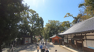 gx015982.mp4_snapshot_00.02_thumb.jpg