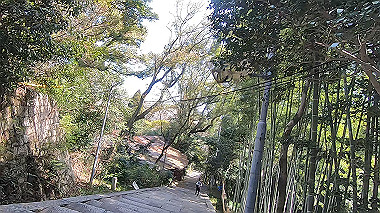 gx015984.mp4_snapshot_01.44_thumb.jpg